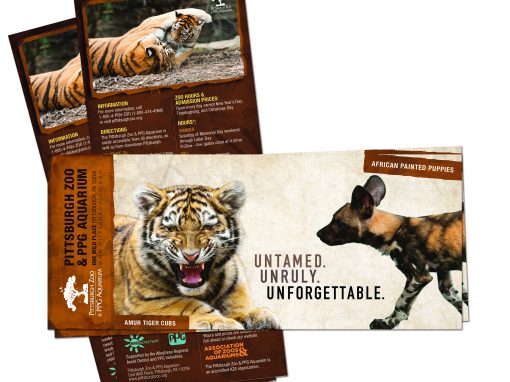 Pittsburgh Zoo & PPG Aquarium Rack Card