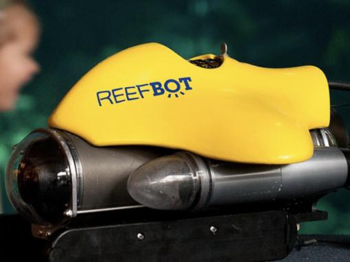 Reef Bot